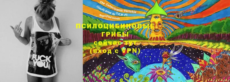 Галлюциногенные грибы Magic Shrooms  Новочебоксарск 