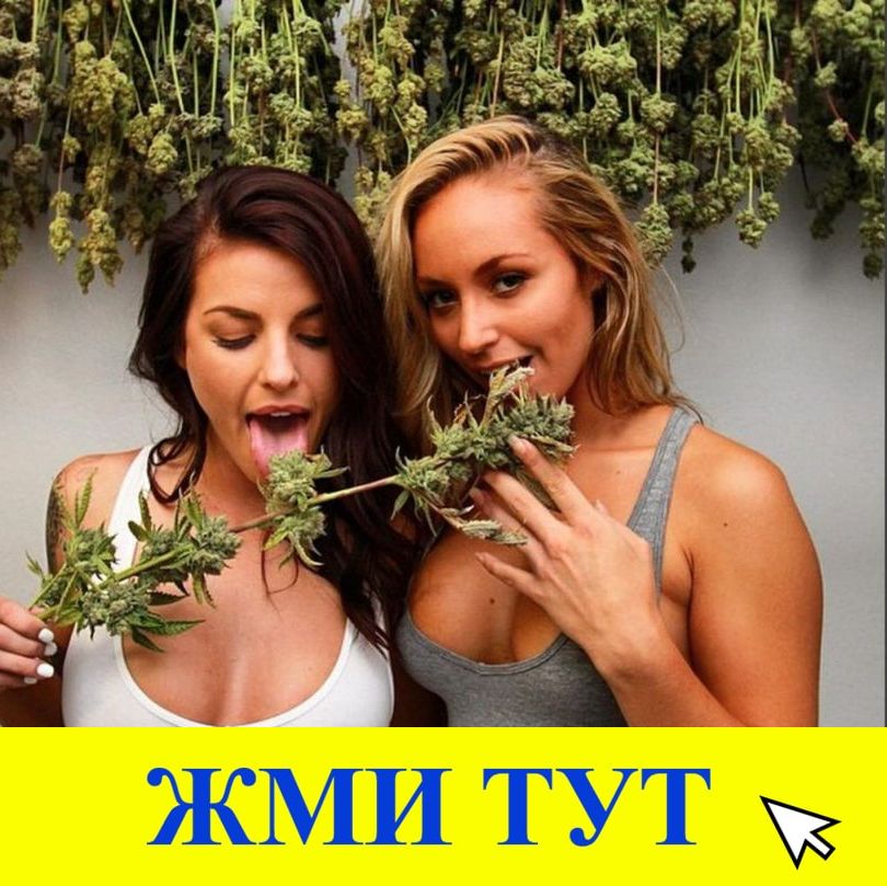 Купить наркотики в Новочебоксарске